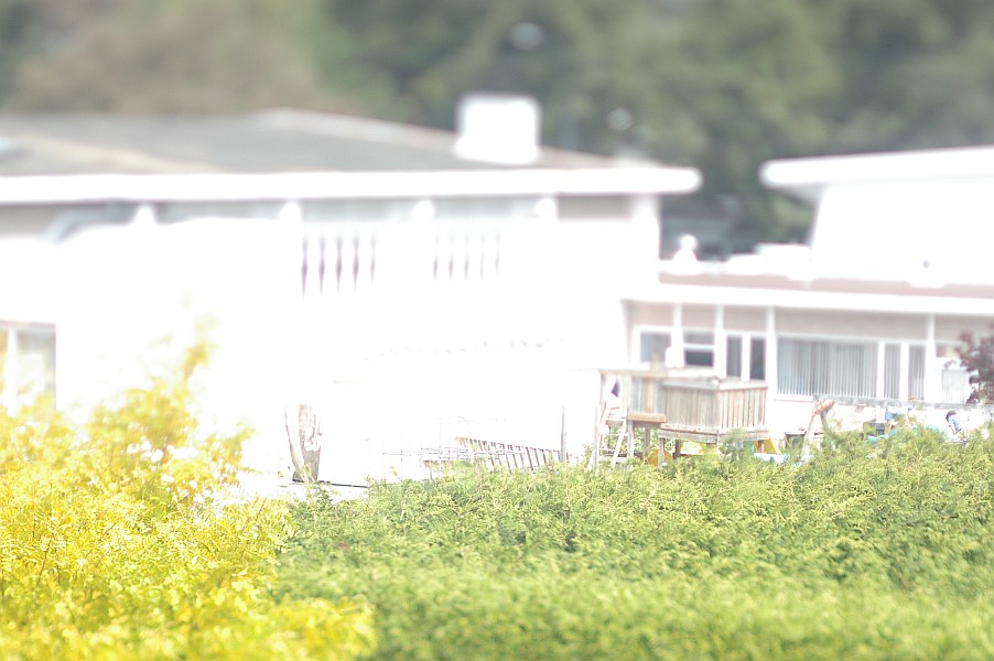 gal/2009-08-26 tilt shift/IMGP8471.jpg